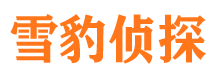 江海侦探调查公司